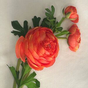 Orange Flower Stem with buds (Ranuculas), Spring stem, home decor